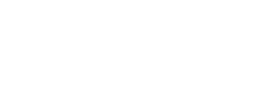 South Next-Gen
